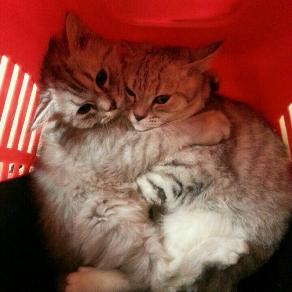 Pet Food CenterNorth Evansville, IN