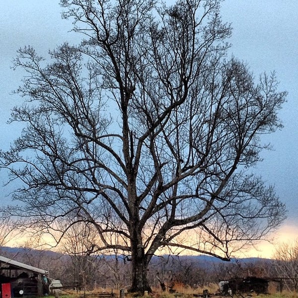 Friendly WV Cemetery in Sistersville