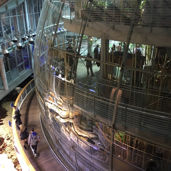 11/20/2015에 Nate H.님이 California Academy of Sciences에서 찍은 사진