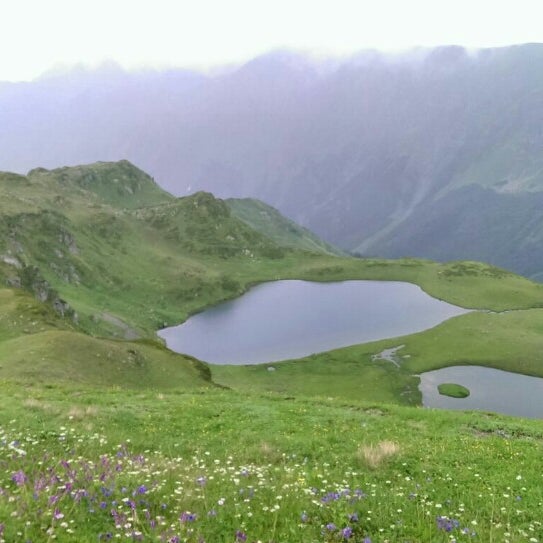 Долина семи озер Абхазия. Озеро Зонкар. Долина семи озер ледник Арбуз с цветами. Семи озёр Маргузор фото.
