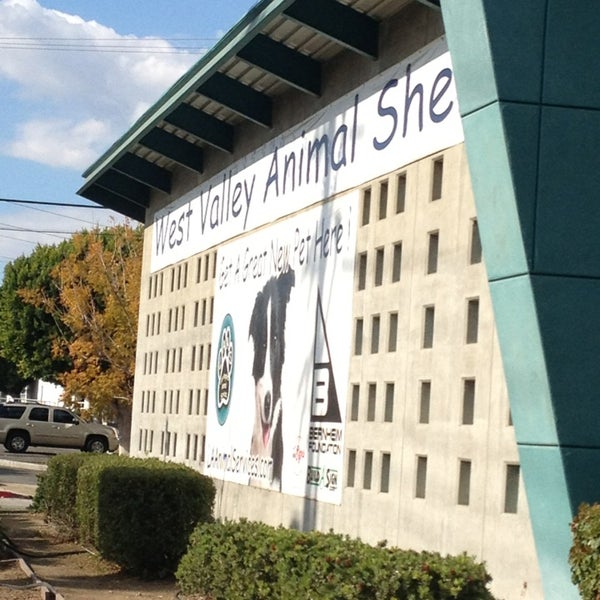 West valley animal sales shelter