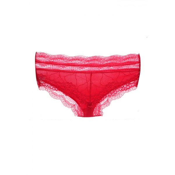 Lace and Mesh Low Rise Hipster Panty with Solid Back