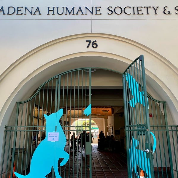 10/9/2023 tarihinde K L.ziyaretçi tarafından Pasadena Humane Society &amp; SPCA'de çekilen fotoğraf
