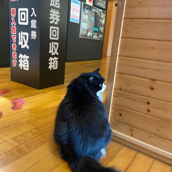 Photos At 太陽の森 ディマシオ美術館 新冠町 北海道