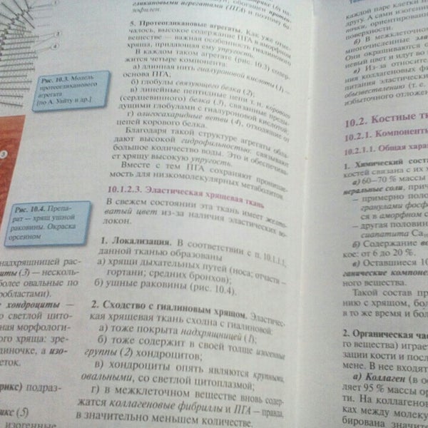 Общежитие НГМУ № 9 - ул. Залесского, 10