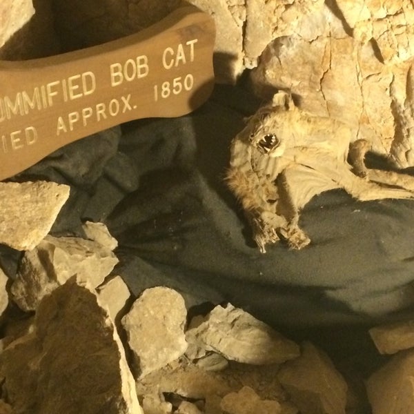 Foto diambil di Grand Canyon Caverns &amp; Inn oleh GT S. pada 5/11/2014