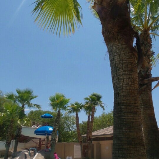 willows pool