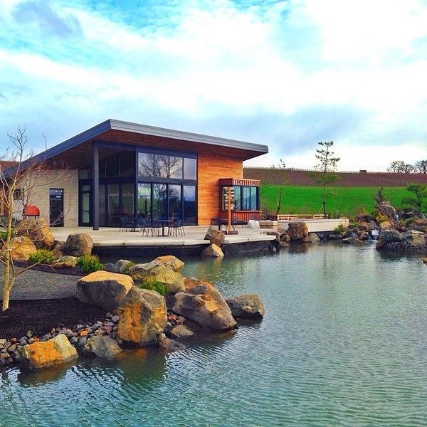 Saffron Fields Vineyard 136 visitors