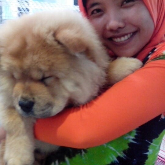 26+ Unique Pets Near Me