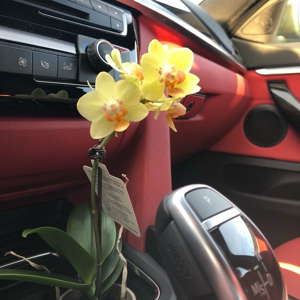 Super Stop & Shop Farmingville, NY