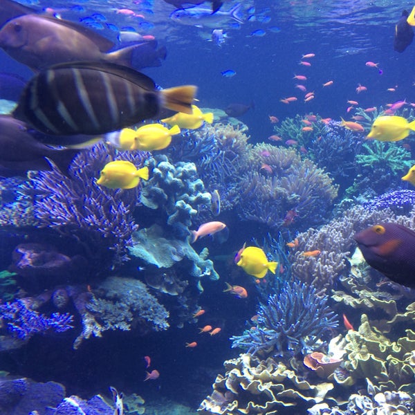 Снимок сделан в Long Island Aquarium &amp; Exhibition Center (Atlantis Marine World) пользователем Tanya 10/9/2017