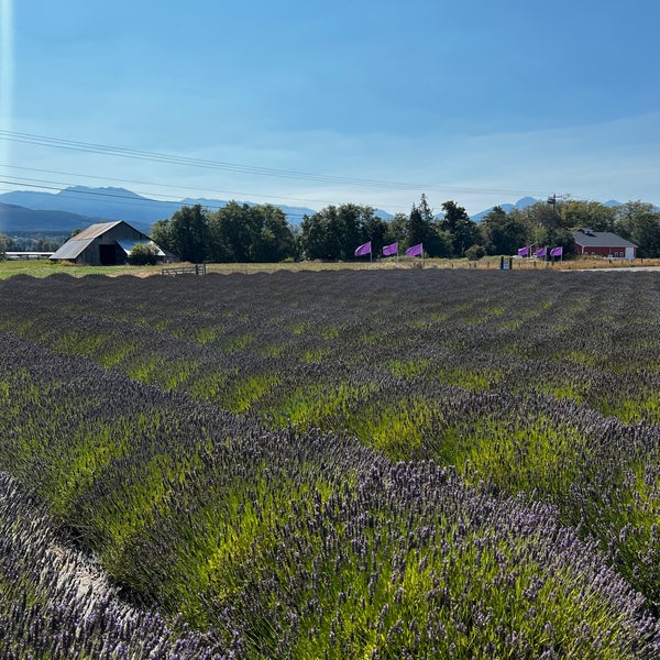 Photo taken at B&amp;B Family Lavender Farm by Ammie H. on 9/2/2022