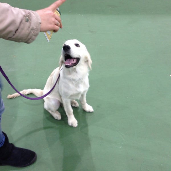 The Kennel Club Building Stoneleigh, Warwickshire