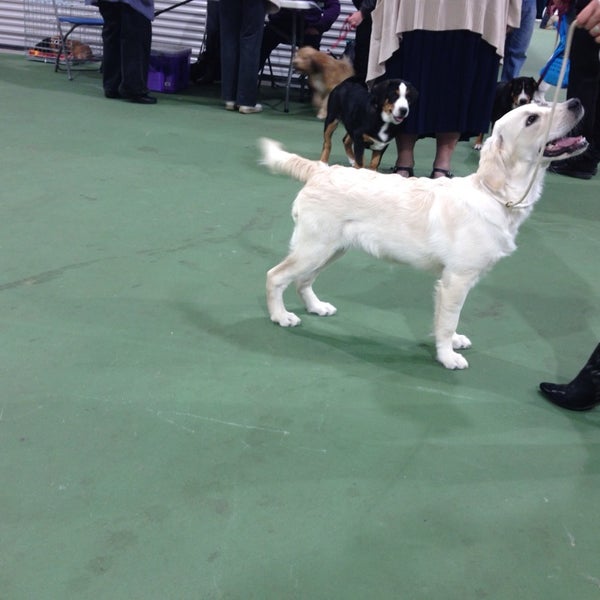 The Kennel Club Building Stoneleigh, Warwickshire