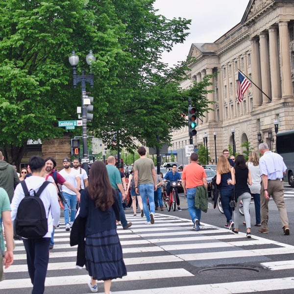 Transvestite in washington d c