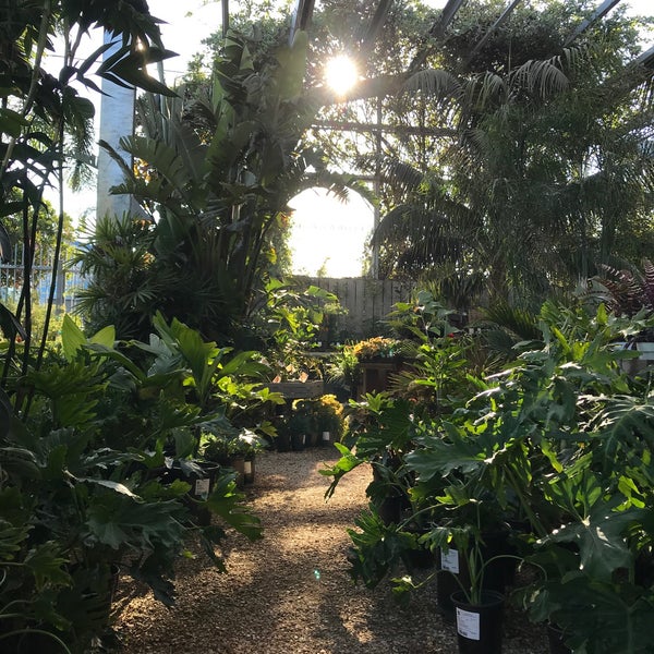 รูปภาพถ่ายที่ Flora Grubb Gardens โดย Chester H. เมื่อ 11/10/2019