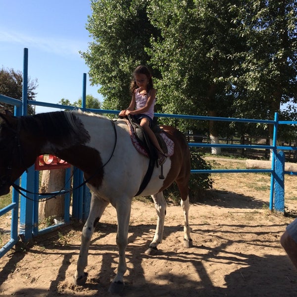 Краснодарский край конный спорт