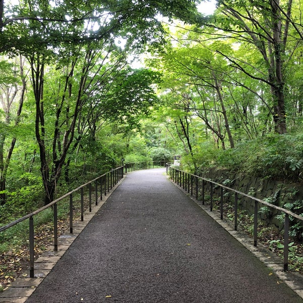 赤羽自然観察公園2026最新攻略！湧水と田んぼ、デイキャンプの全貌と無料で楽しむ徹底比較