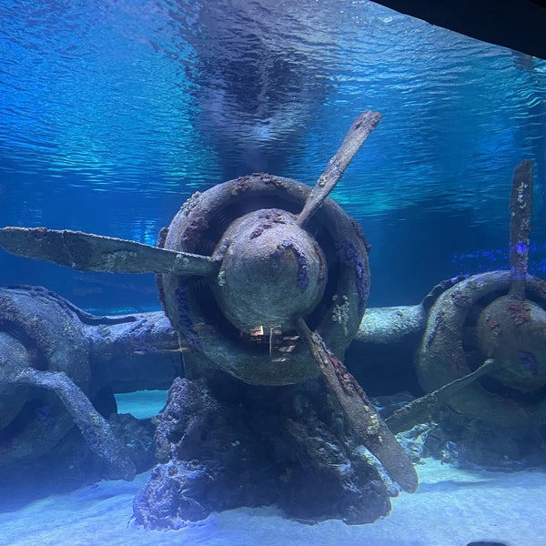 Photo taken at Antalya Aquarium by Ahmet Ç. on 7/28/2023