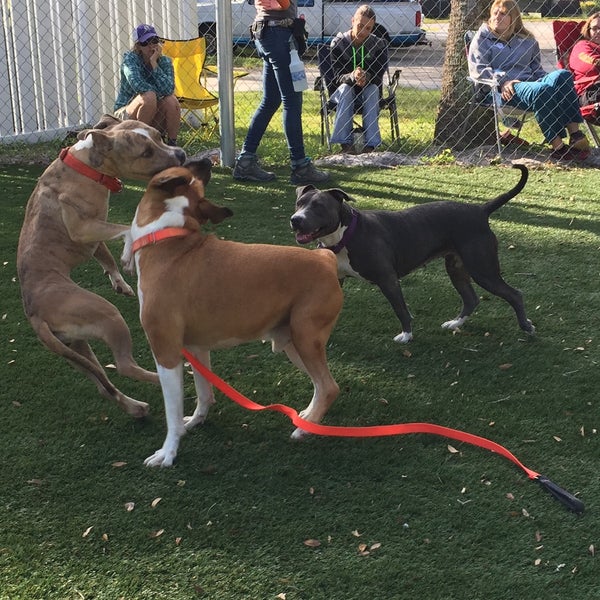 Humane Society of Manatee County - 1 tip