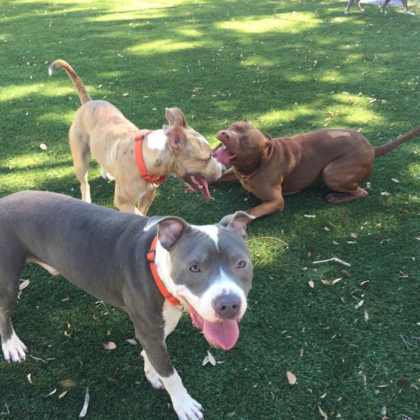 Humane Society of Manatee County - 1 tip