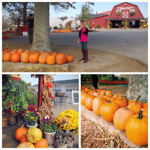 Photo taken at Jackson&#39;s Orchard &amp; Nursery by Aly D. on 10/27/2013
