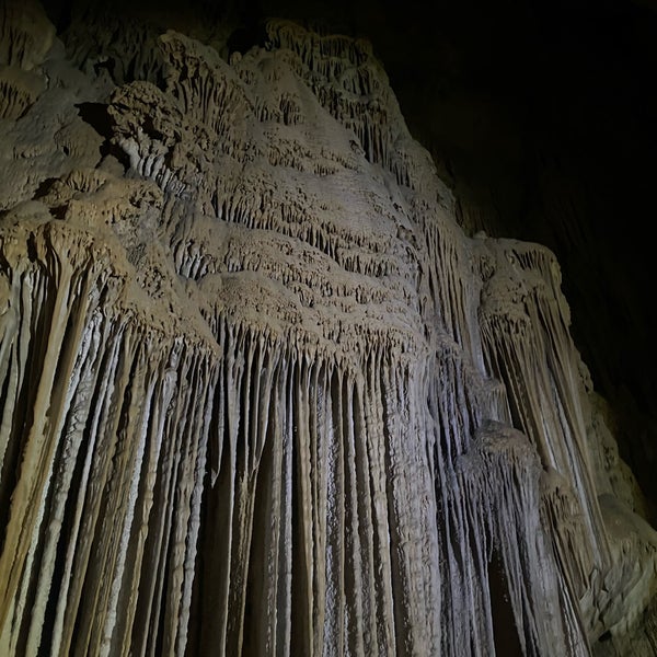 Снимок сделан в Lake Shasta Caverns пользователем Darlene G. 7/13/2023