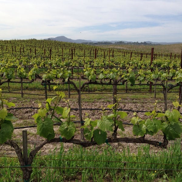 Photo taken at Sonoma-Cutrer Vineyards by Mark E. on 4/27/2014