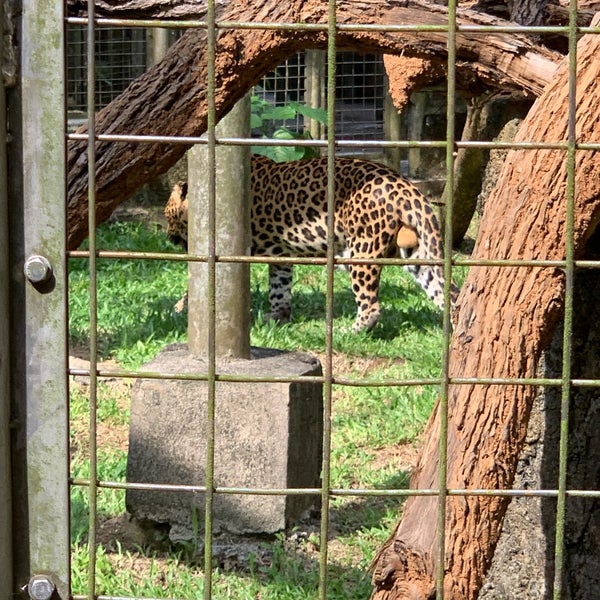 Photo taken at Zoo Melaka by Kikin on 7/13/2019