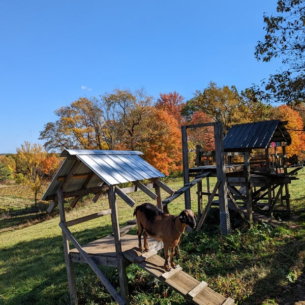 Winery at Wolf Creek Norton, OH