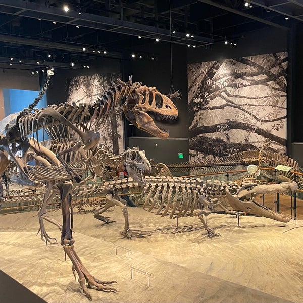 Photo taken at Natural History Museum of Utah by Eric N. on 10/22/2021