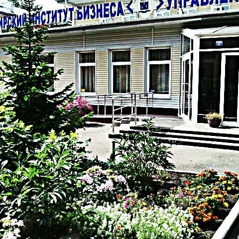 Сибирский институт бизнеса и информационных