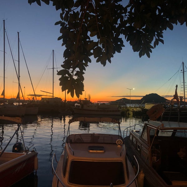 Papa John S Pizza Bodrum Firmalari Bodrum Firma Rehberi Turizm Ticaret Mekan Eglence Esnaf