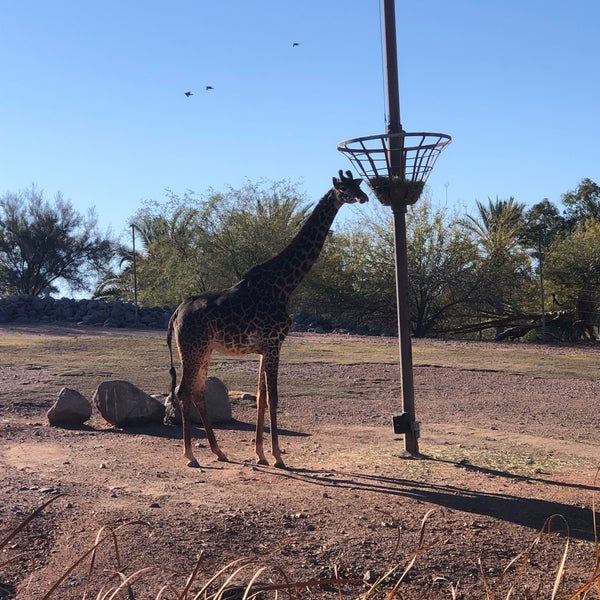 Photo taken at Phoenix Zoo by Steven C. on 2/9/2022