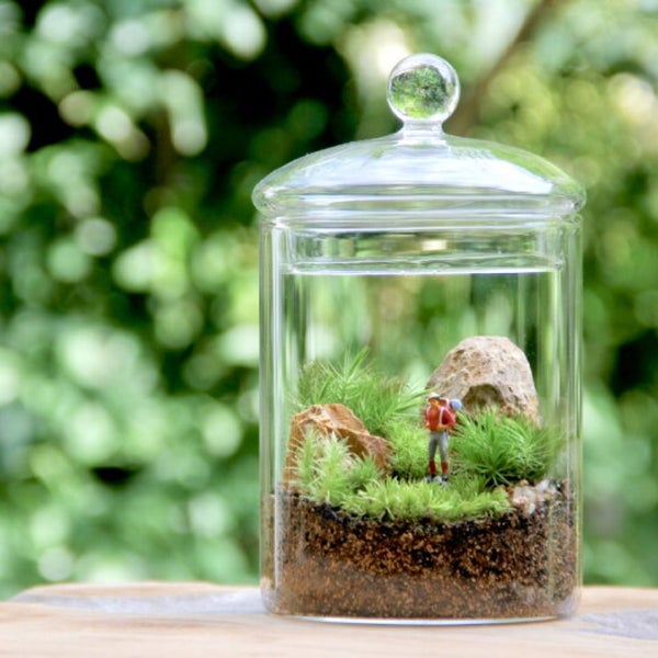 Photos At 苔むすび Kamakura Miscellaneous Shop In 鎌倉