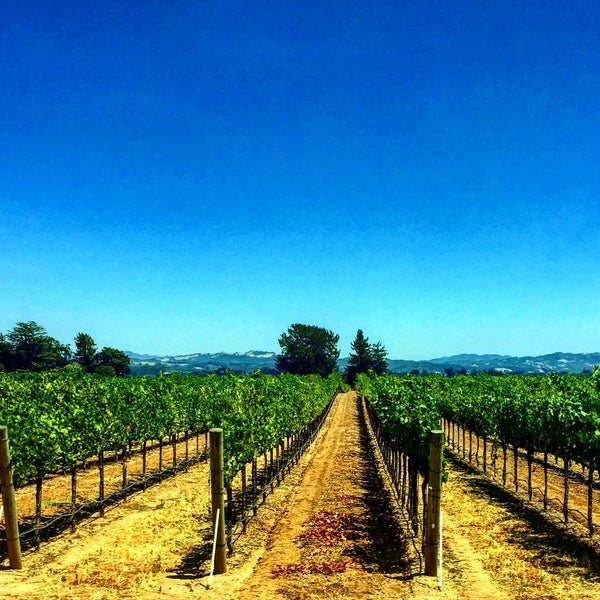 7/25/2015 tarihinde Sara P.ziyaretçi tarafından J Vineyards &amp; Winery'de çekilen fotoğraf