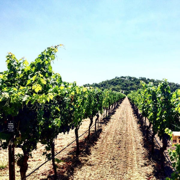 Foto tirada no(a) Odette Estate Winery por Sara P. em 8/1/2015