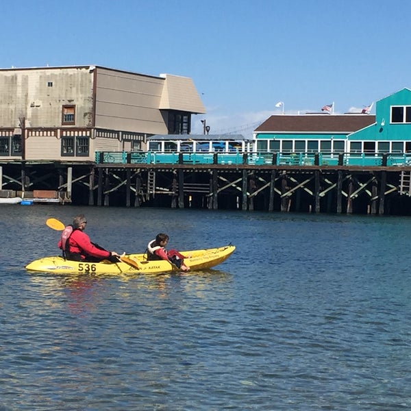 Monterey Bay Kayaks 9 tips from 344 visitors