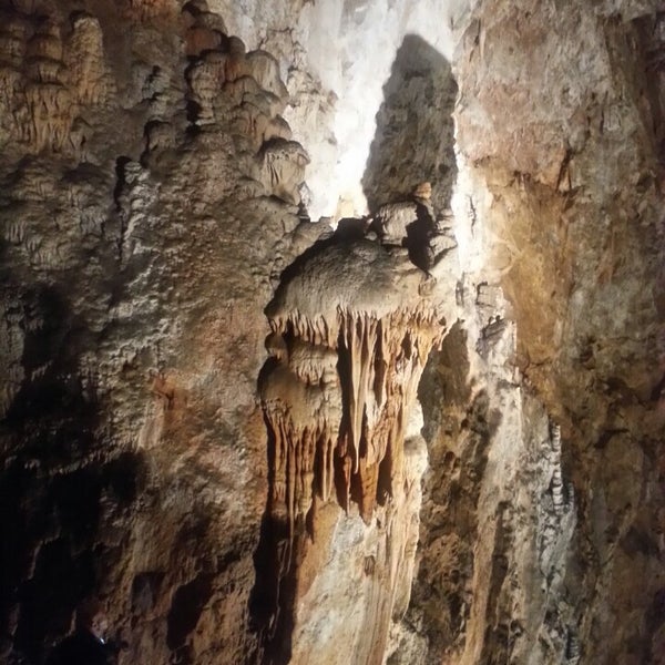 Photo taken at Grotta Gigante by Giovanna T. on 10/11/2013