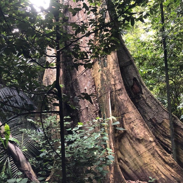 Hutan Lipur Gunung Datuk - Rembau, Negeri Sembilan