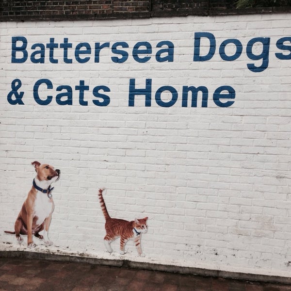 รูปภาพถ่ายที่ Battersea Dogs &amp; Cats Home โดย Danny C. เมื่อ 4/25/2014