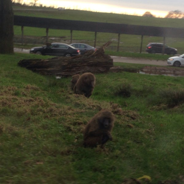 Photo taken at Knowsley Safari by Adam B. on 12/29/2015