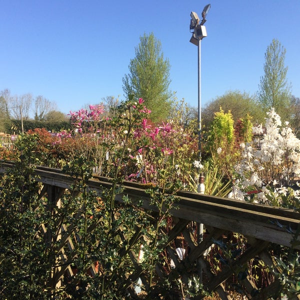 Notcutts Garden Centre Guildford Road