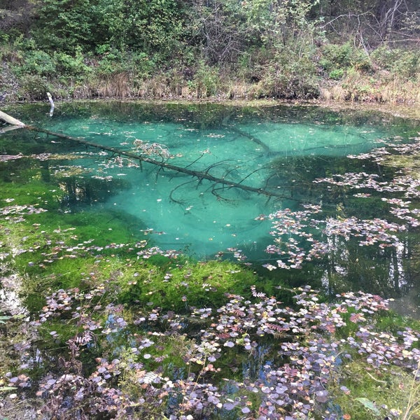 Blue Springs of Saula