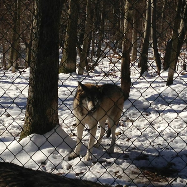 Foto diambil di Camp Taylor &amp; Lakota Wolf Preserve oleh Dmitri S. pada 1/19/2013