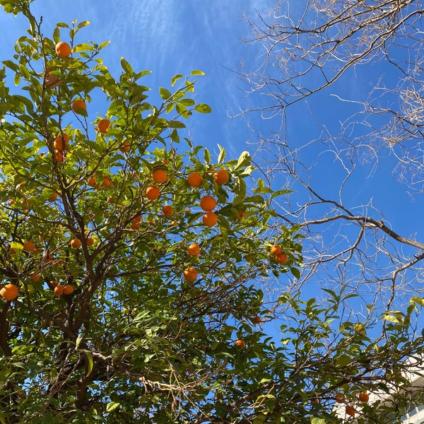 1/26/2024 tarihinde Kateryna🐝ziyaretçi tarafından L&#39;illa Diagonal'de çekilen fotoğraf