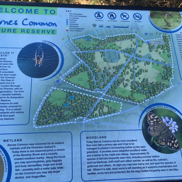 Photos At Barnes Common Park In Mortlake And Barnes Common