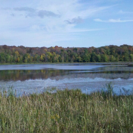 Jennings Pond Lake in Danby