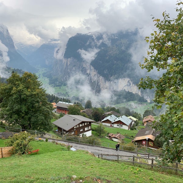 Венген панель