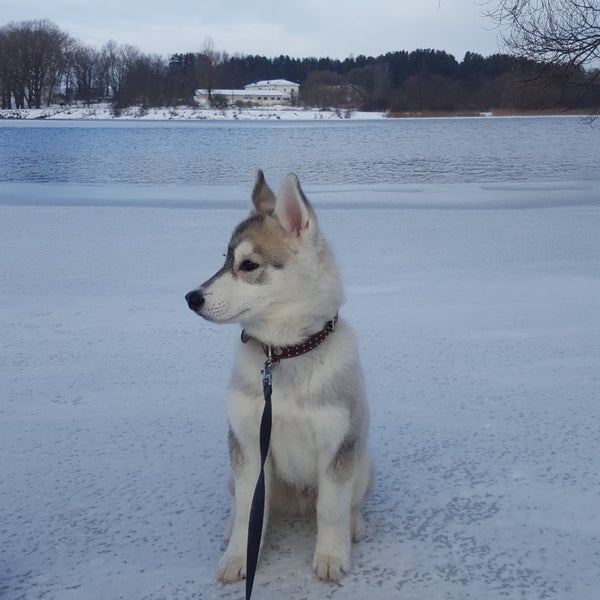 Снимок сделан в Минское море (пляж #3) пользователем lera v. 1/20/2019